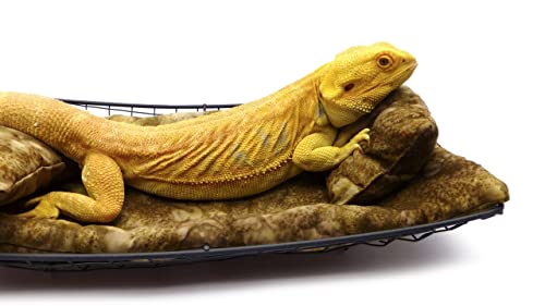 Chaise Lounge for Bearded Dragons, Brown Batik Fabric