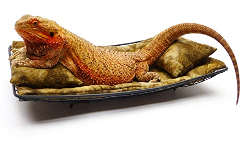 Chaise Lounge for Bearded Dragons, Brown Batik Fabric