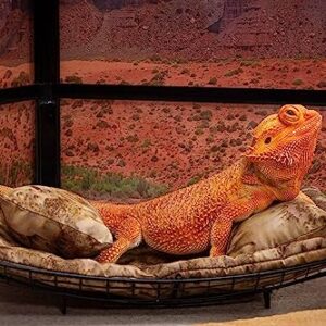 Chaise Lounge for Bearded Dragons, Brown Batik Fabric