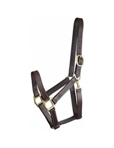 gatsby track style turnout halter/snap horse
