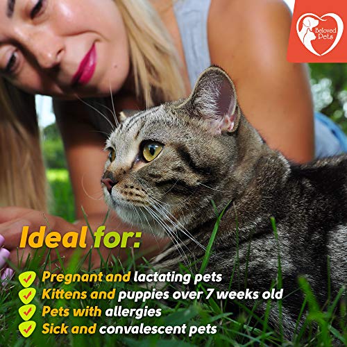 Flea and Tick Prevention for Dogs & Cats, Ferret - Natural Flea Treatment & Home Pest Control - Topical Flea & Mosquito Repellent for Puppy & Kitten - 3 Drops for Small and Extra Large Pet