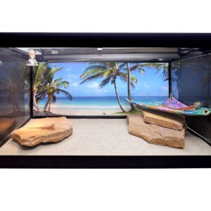 Carolina Custom Cages Reptile Habitat Background, Tropical Beach and Palm Trees, 15.75" x 36"