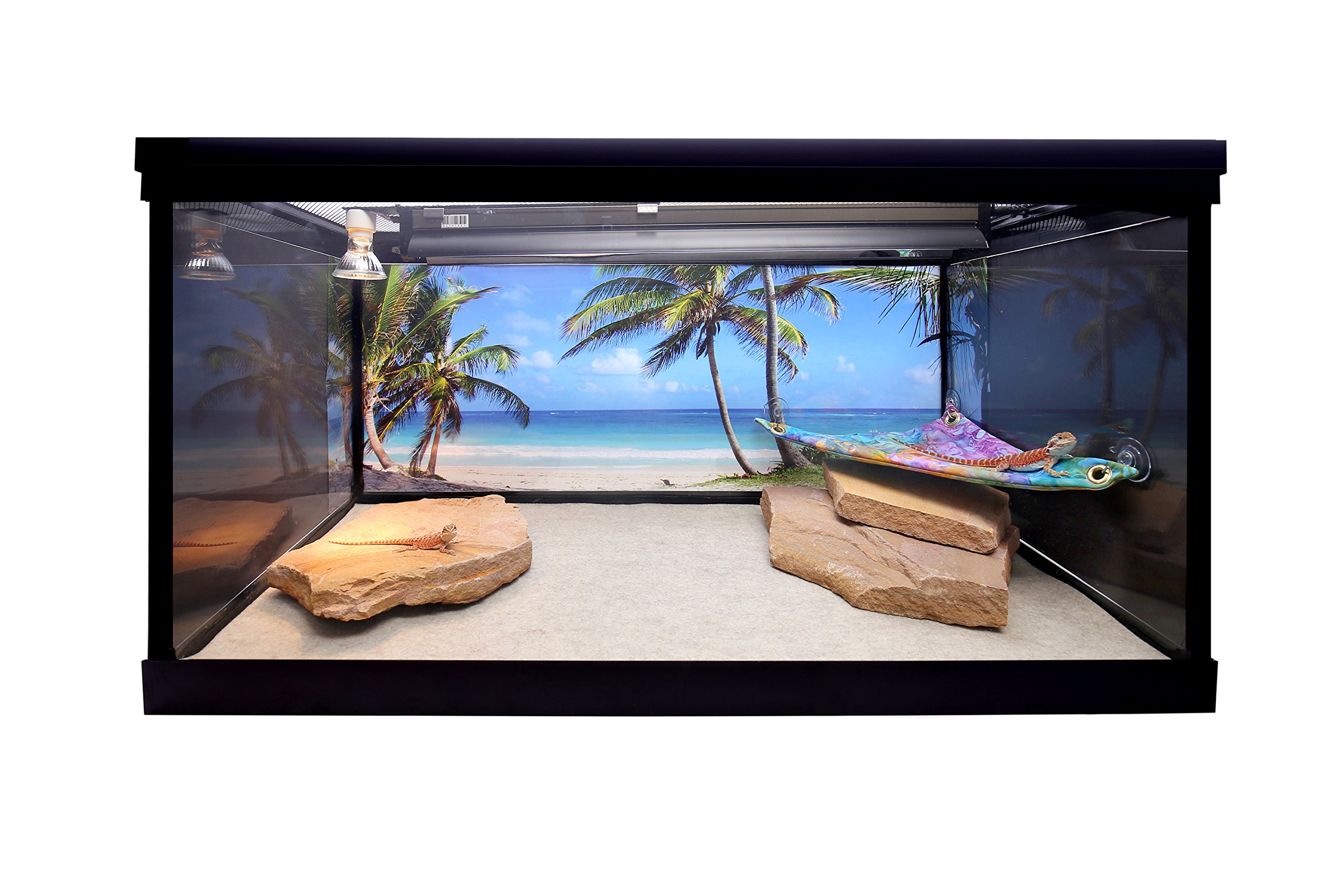 Carolina Custom Cages Reptile Habitat Background, Tropical Beach and Palm Trees, 15.75" x 36"