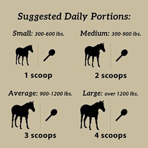 Daily Gold Stress Relief – Natural Digestive and Ulcer Supplement for Horses