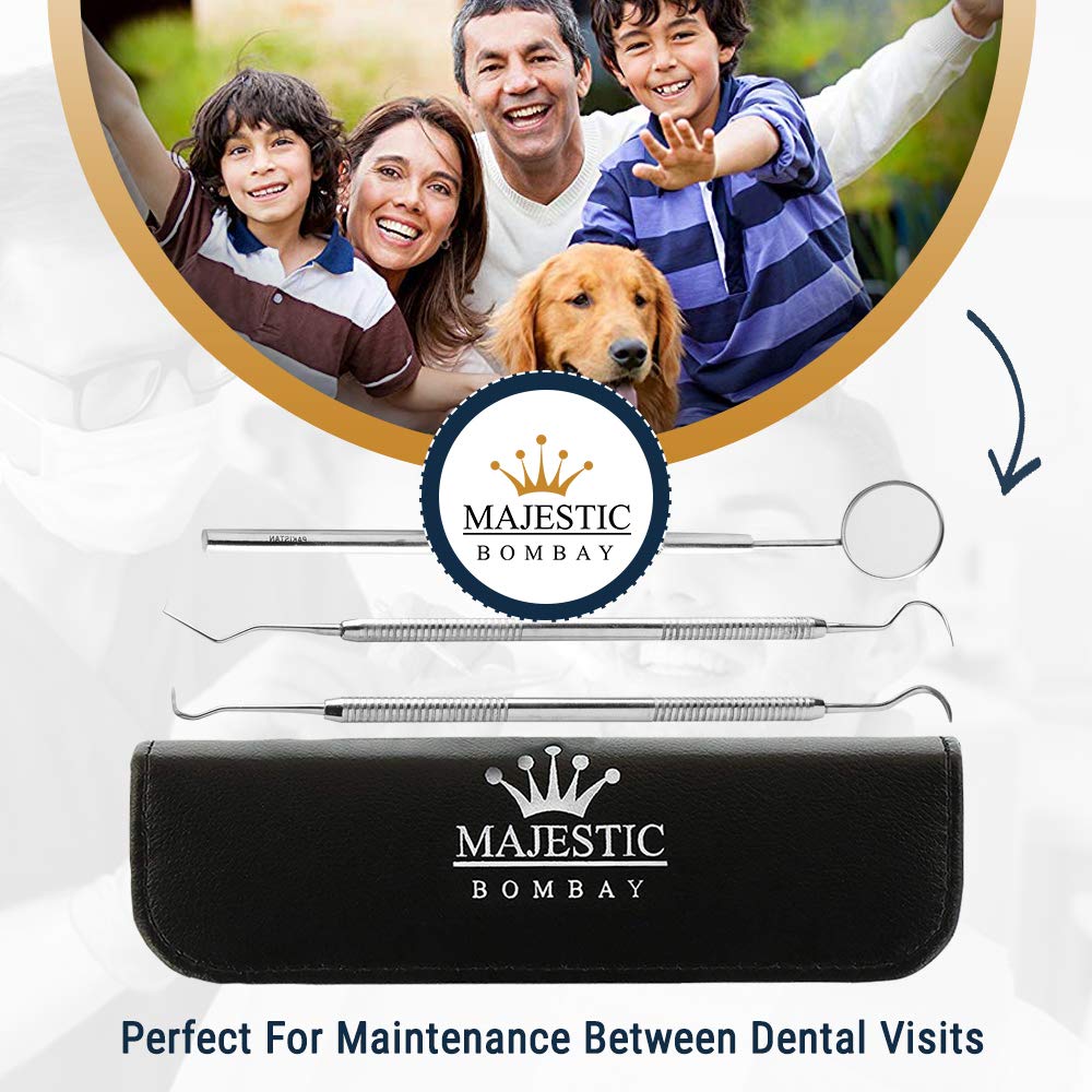 Dental Hygiene Tool Kit - Includes Stainless Steel Tarter Scraper/Scaling Remover, Dental Toothpick, Mouth Mirror - by Majestic Bombay- Dentists Tools Set is Ideal for Personal Use & Pet Friendly