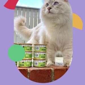 "I and love and you" Naked Essentials Canned Wet Cat Food - Grain Free, Rabbit Recipe, 3-Ounce, Pack of 24 Cans