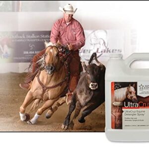 UltraCruz - sc-395300 Equine Detangler Spray for Horses, 1 Gallon