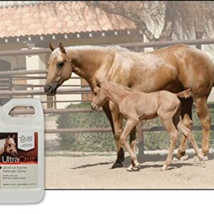 UltraCruz - sc-395300 Equine Detangler Spray for Horses, 1 Gallon