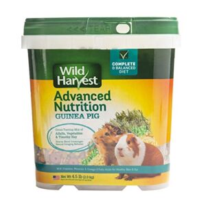 wild harvest wh-83545 wild harvest advanced nutrition diet for guinea pigs, 4.5-pound