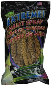 f.m.brown's 42398 extreme millet spray, 12-pack