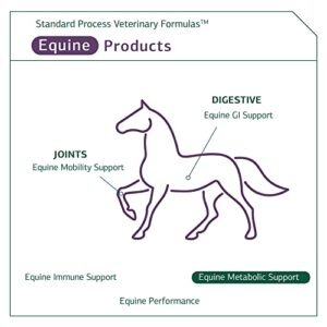 Standard Process Equine Metabolic Support - Whole Food Horse Supplies for Glucose Metabolism and Antioxidant Activity with Green Tea Extract, Cayenne Pepper, Licorice Root - 40oz