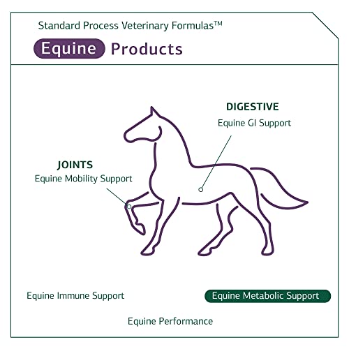 Standard Process Equine Metabolic Support - Whole Food Horse Supplies for Glucose Metabolism and Antioxidant Activity with Green Tea Extract, Cayenne Pepper, Licorice Root - 40oz