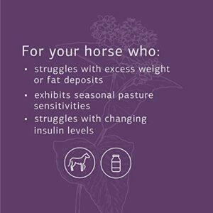 Standard Process Equine Metabolic Support - Whole Food Horse Supplies for Glucose Metabolism and Antioxidant Activity with Green Tea Extract, Cayenne Pepper, Licorice Root - 40oz