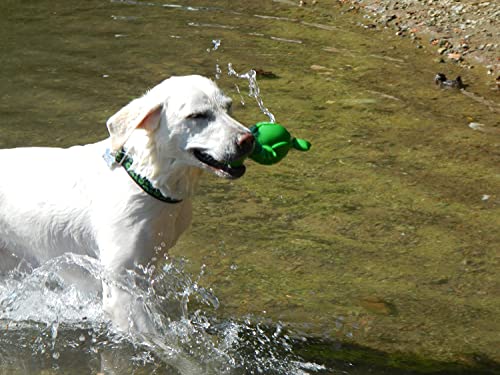 Cycle Dog Small Fuchsia 3-Play Turtle Dog Toy with Ecolast Recycled Material - Tough & Sustainable Chew Toy for Dogs & Puppies/Treat Dispenser/Floats Above Water/Indestructible for Aggressive Chewers