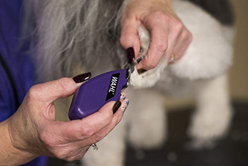 WAHL Professional Animal Pocket Pro Equine Compact Horse Trimmer and Grooming Kit, Purple (#9861-930)