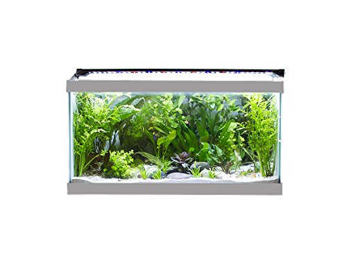 Finnex Stingray Aquarium LED Light, 16-Inch, Black, (JL-16S)