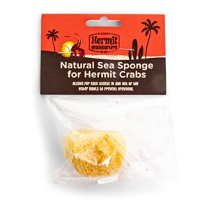 fluker's natural sea sponge for hermit crabs