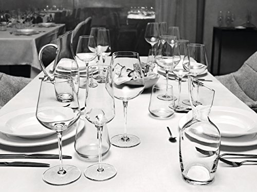 Bormioli Rocco InAlto Uno Stemless Glass, Set of 6, 15.25 oz, Clear