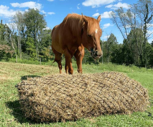 Derby Originals 90" X-Large Slow Feed Hay Bale Net Holds 1-2 Full Bales of Hay for Horses and Goats