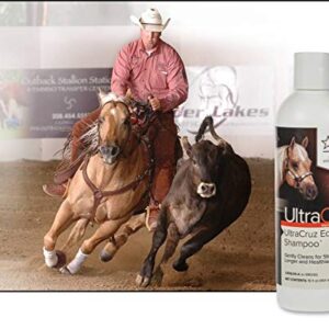 UltraCruz - sc-395292 Equine Horse Shampoo, 16 oz