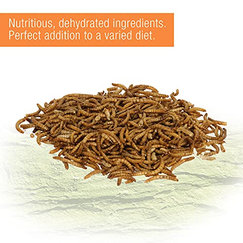 Zilla Reptile Food Munchies Mealworms for Pet Bearded Dragons, Leopard Geckos, Chameleons, Large Tropical Fish & Birds, 3.75-Ounce