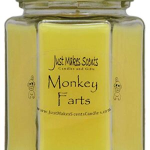 Monkey Farts Scented Blended Soy Candle by Just Makes Scents (8 oz)