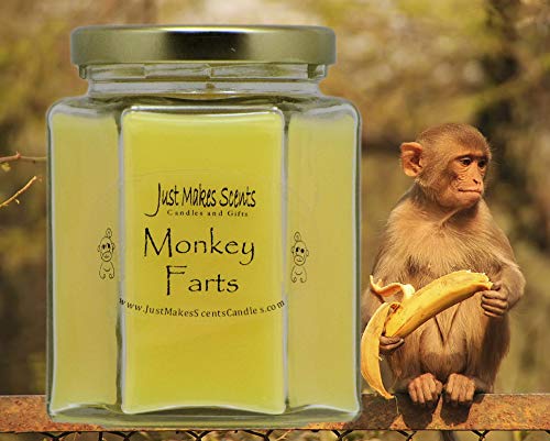 Monkey Farts Scented Blended Soy Candle by Just Makes Scents (8 oz)