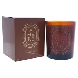 diptyque ambre scented candle, 10.2 ounce (187856)