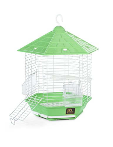 Prevue Pet Products SP31997GREEN Bali Bird Cage, Green