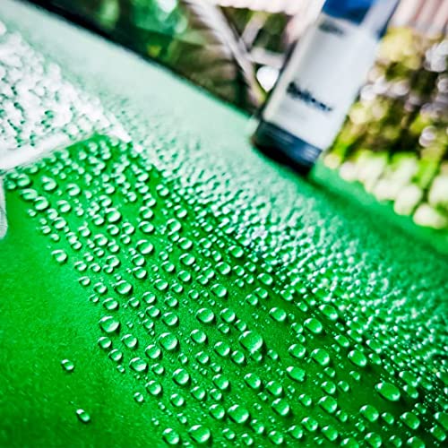 CARPRO Reload Spray Sealant and Sprayer with Sio2 (Quartz) Glass-Like Gloss, Hydrophobicity and Silica Nanotechnology, Repels Dirt, Spray-On, Wipe-Off Car Sealant, 100mL (3.4oz)