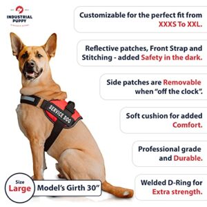 Service Dog Vest with Hook and Loop Straps and Handle - Harness is Available in 8 Sizes from XXXS to XXL - Service Dog Harness Features Reflective Patch and Comfortable Mesh Design Bright Red