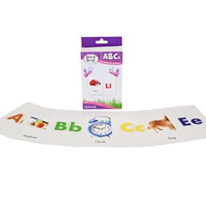 Brainy Baby ABCs Introducing the Alphabet A to Z Deluxe Edition - DVD, Board Book and Flashcards: Set of 3