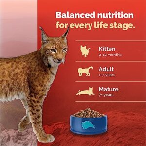 Blue Buffalo Cat Food for Indoor Cats, Hairball Control & Weight Management, Natural Chicken Recipe, Adult Indoor Dry Cat Food, 11 lb bag