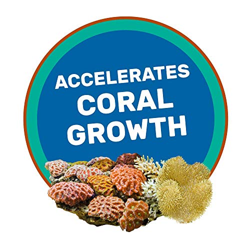 Hikari Coralific Delite Coral Food, 1.23 oz (35g)