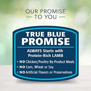 Blue Buffalo Freedom Grain Free Natural Adult Wet Dog Food, Lamb 12.5oz cans (Pack of 12)