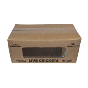 buyfeedercrickets 500 live acheta crickets (medium (1/2"))