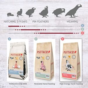 Psittacus High Energy Hand-Feeding Formula 2.2 lb | Diet for Baby African Greys, Macaws and Other African Parrots | Premium Food for Birds, 100% no-GMO