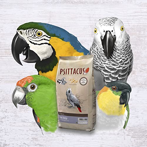 Psittacus High Energy Hand-Feeding Formula 2.2 lb | Diet for Baby African Greys, Macaws and Other African Parrots | Premium Food for Birds, 100% no-GMO