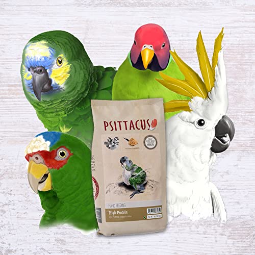 Psittacus High Protein Hand-Feeding Formula 2.2 lb | Diet for Baby Amazons, Cockatoos and Ringneck Parakeets | Premium Food for Birds, 100% no-GMO