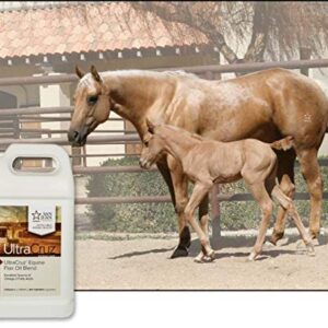 UltraCruz - sc-395351 Flax Oil Blend Supplement for Horses and Livestock, 1 Gallon