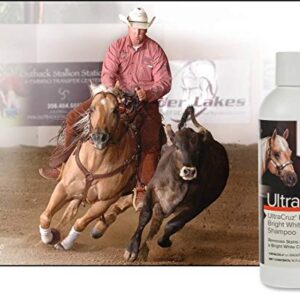 UltraCruz - sc-395301 Equine Bright White Horse Shampoo, 16 oz