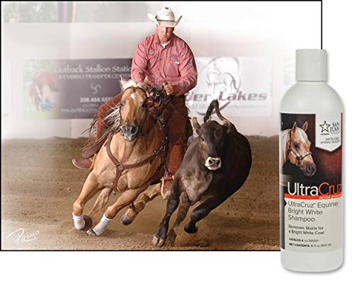 UltraCruz - sc-395301 Equine Bright White Horse Shampoo, 16 oz