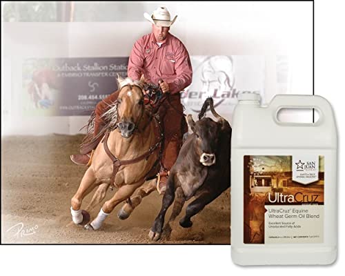 UltraCruz Wheat Germ Oil Blend Supplement for Horses and Livestock, 1 Gallon (125 Day Supply)