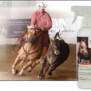 UltraCruz Equine Show Polish Spray for Horses, 16 oz