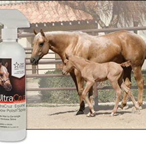 UltraCruz Equine Show Polish Spray for Horses, 16 oz