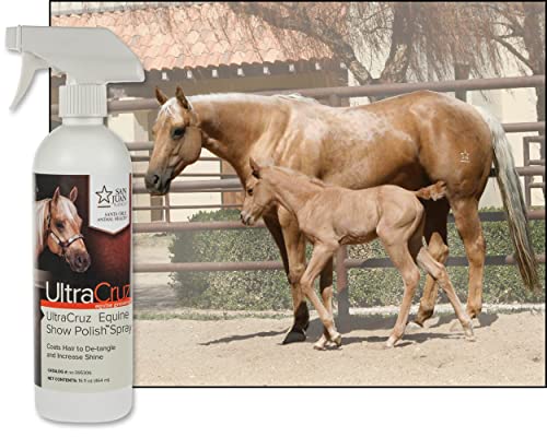 UltraCruz Equine Show Polish Spray for Horses, 16 oz