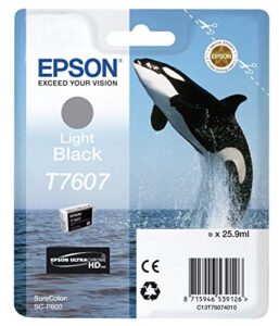 epson c13t76074010 t7607 ink cartridge - light black