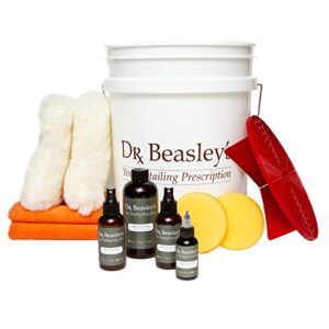 dr. beasley's mini matte kit with accessories, instant bonding coating, 2+ years of protection