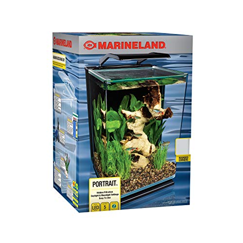 Marineland Portrait Glass LED Aquarium Kit, 5 Gallons, Hidden Filtration,Black