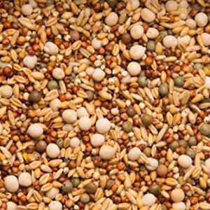 Purgrain Daily 14% no corn–50 lb bag